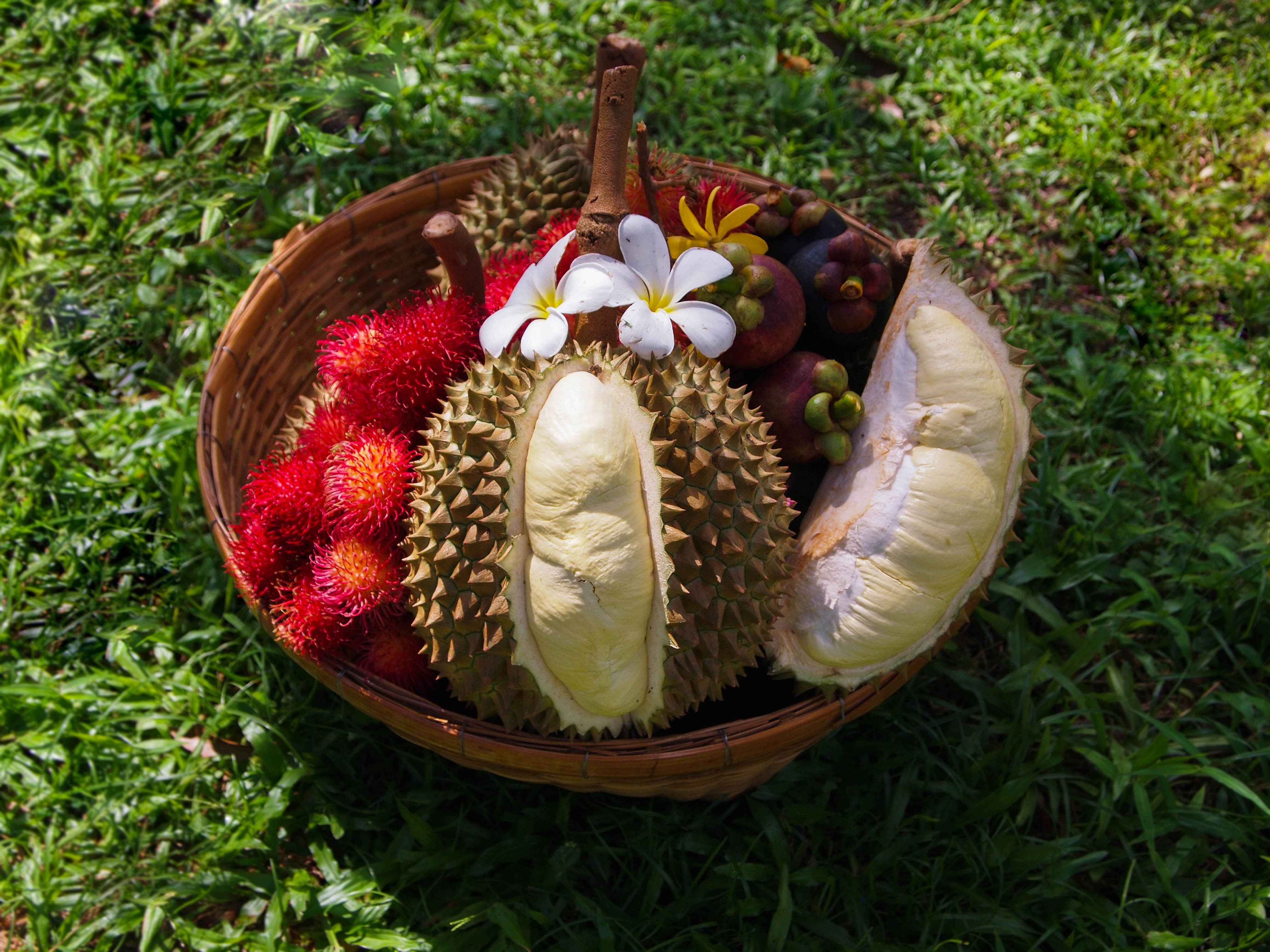 Fruits - Souvenirs of Rayong Thailand